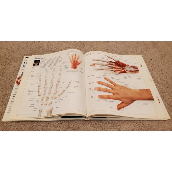 Eyewitness Visual Dictionaries: the Visual Dictionary of the Human Body by DK... - Picture 8 of 14